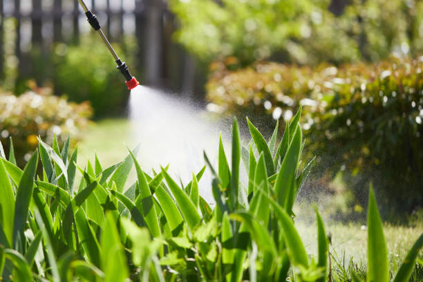 Tamper-Resistant Bait Stations for Rodents in Nicholls