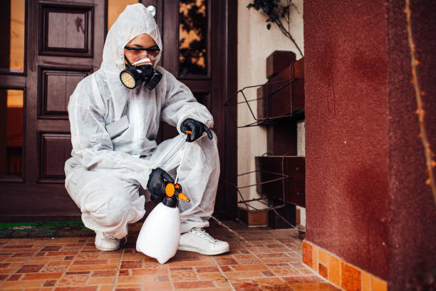 Attic and Crawl Space Rodent Treatment in Nicholls